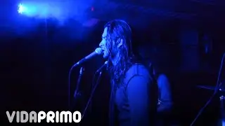 Anima Inside - Animal (Pearl Jam live cover )