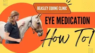 HOW TO - Administer Eye Medication to a horse!