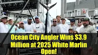 Ocean City Angler Wins $3.9 Million at 2025 White Marlin Open! | Dan Gough's Historic Catch