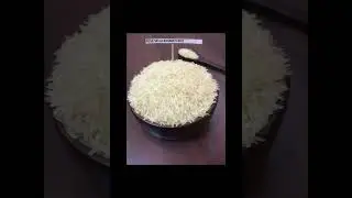 BABBARFRESH RICE FOR EXPORT #freshrice #ricefordubai #riceabudhabi #uaeexport #ricewholer #trending