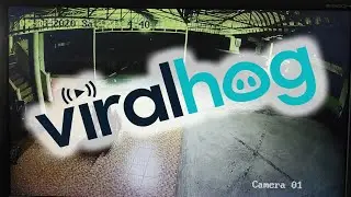 Ghost Takes a Wheelchair Ride || ViralHog