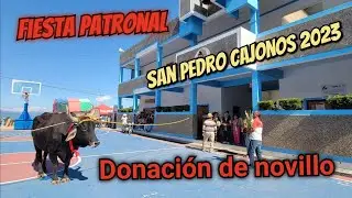 Donación de segundo novillo para la festividad en San Pedro Cajonos