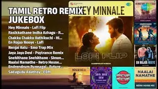ரீமிக்ஸ் ஆனந்தம் | Haricharan Songs | Hey Minnale  Lofi Flip