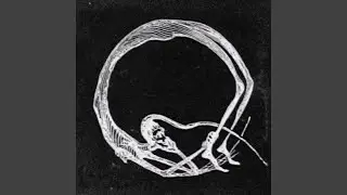 Skellum