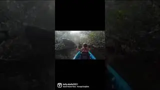Paddling in the Mangroves