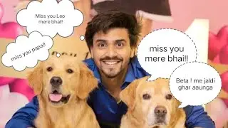 The Legend of Leo: Why He Was More Than Just a Dog 🏆🐕.    Some clip of Leo with anant rastogi