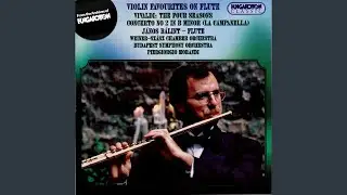 Concerto in E major 