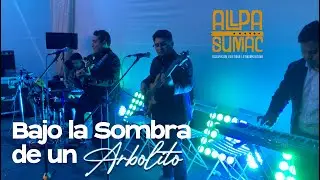 Bajo la sombra de un Arbolito /  en vivo (DR) / ALLPA SUMAC PERÚ