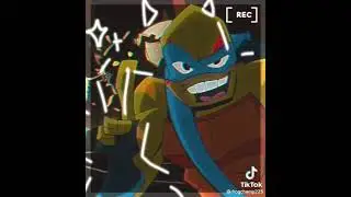rottmnt edits!