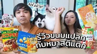 รีวิวสู้ชีวิต! รีวิวขนมแปลกกับหมาสติแตก