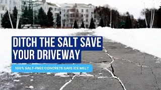 The Damage Salt Does to Your Driveway  Quick Fix with Safe Paw