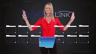Synergy Link