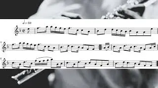 Brodie House - Flute Solo Arrangement (Link in the description)
