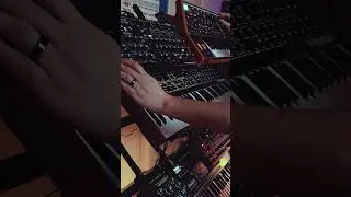 Elkris - Dreams