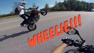 SUMO WHEELIES ON DECK!