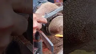 Woodturning Mastery in Progress