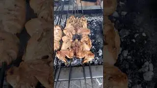 predator type of chicken in Peshawar