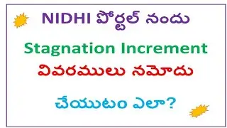 Stagnation increment updation | Nidhi Portal