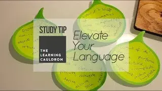 Elevate Your Language | English Study Tip