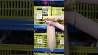 ✨ Yiwigs #613 18inch Straight Bundles | Long, Silky & Bright Blonde ✨