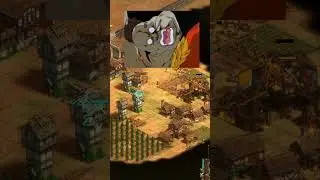 That Worked so rocket cart well AOE2 New Patch