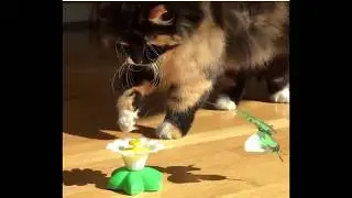 PurrfectToyz&trade;Automated Butterfly Cat Toy