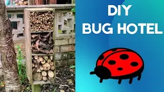 DIY Bug Hotel for Ladybirds/Ladybugs.