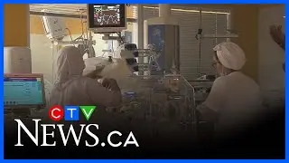 Ontario invests in family fertility