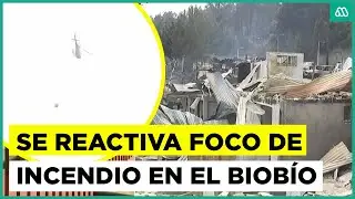 Ahora se reactiva foco de incendio en el Biobío
