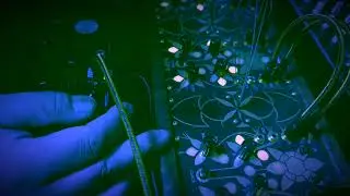Folktek Resonant Garden / HOMEBAKE INSTRUMENTS ARP