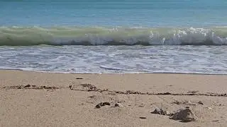 3 Hours of Gentle Ocean Waves | Peaceful Sea Sounds for Sleep, Stress Relief & Meditation #asmr
