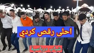 اجمل رقص كردي | شباب درباسية