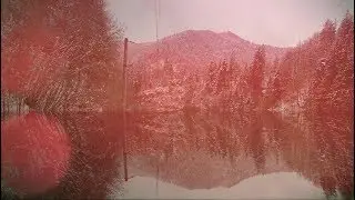 Moonfellas - Hunt Me Down (Official Lyric Video)
