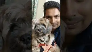 &ldquo;Unspoken Love Between Man & Dog&rdquo;🐩❤️ #viralshorts #lhasalovers #youtubeshorts #bestfriend #shorts