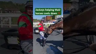 You LOVE to see this! 🙌 Jockeys helping out to cool their horses in the sunshine ☀️ #horse