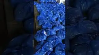 Ration packing for 200 unemployed families in Machhimar Nagar