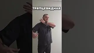 Первопричина болей в спине #shorts