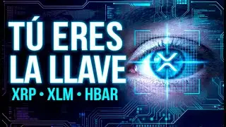 ⚡T&Uacute; ERES LA CLAVE: El Plan de Identidad Digital para XRP, XLM y HBAR 👁️