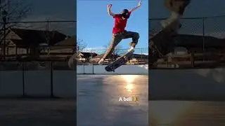 Half cab flip #shorts #skateboarding