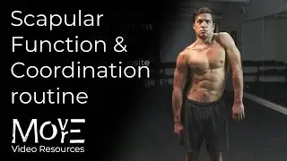 Scapular Function & Coordination Routine