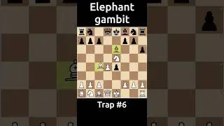🔥 Mastering Chess: How to Refute the Elephant Gambit - Trap 6 ♟️