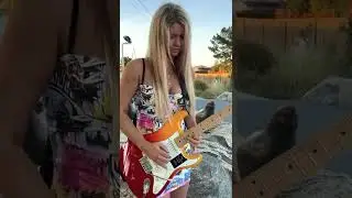 Free Bird Solo Lynyrd Skynyrd by Dominique
