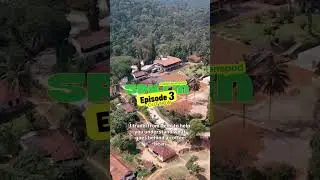 Future of India's Coffee Value Chain and business opportunities #entrepreneurship #podcast #coffee