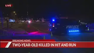 2-year-old killed in hit-and-run in Erie: police