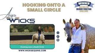 How to Hook onto a Small Circle with Horses - Angie Wicks