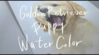 Golden Retriever Puppy Portrait - Watercolor Painting