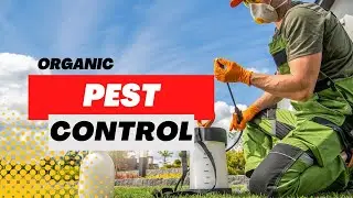 Going Organic: Natural Pest Control Methods for Your Crops