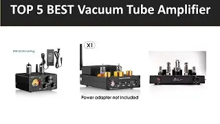 TOP 5 BEST Vacuum Tube Amplifier 2025
