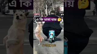 এ কি ভাবা যায় 🤔 ফানি ভিডিও 😂 #shorts #comedy #funnyvideo #viralvideo #foryou #funnyvideobangla