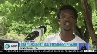 THE BUSINESS OF SELLING COCONUTS